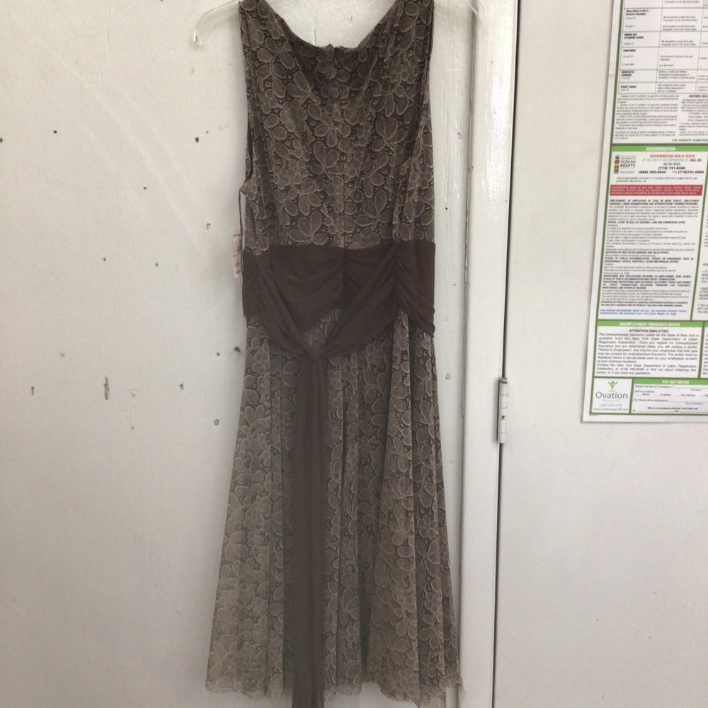 Dress Barn Dress Size 16w